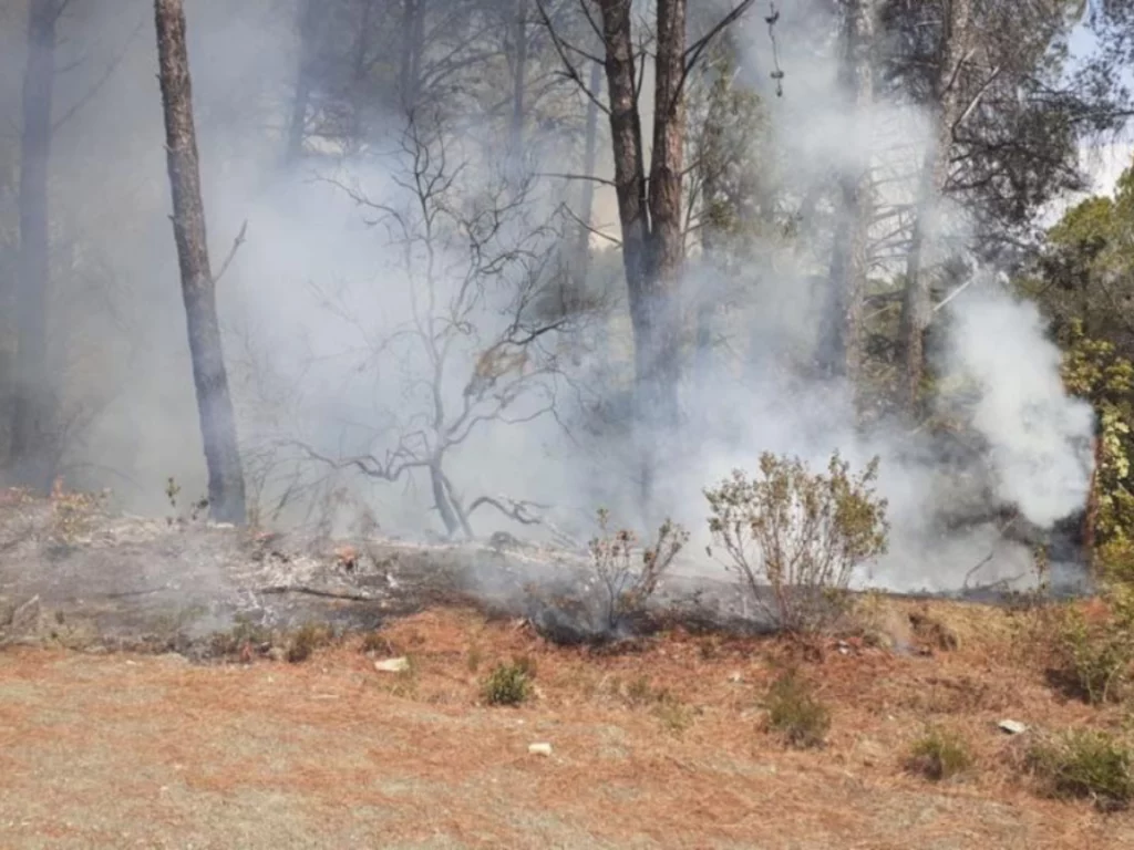 Norme per la prevenzione degli incendi boschivi 13 • TUTTIGIORNI Norme per la prevenzione degli incendi boschivi